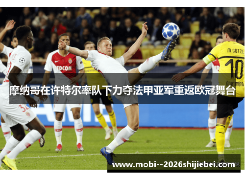摩纳哥在许特尔率队下力夺法甲亚军重返欧冠舞台 摩纳哥在许特尔率队下力夺法甲亚军重返欧冠舞台