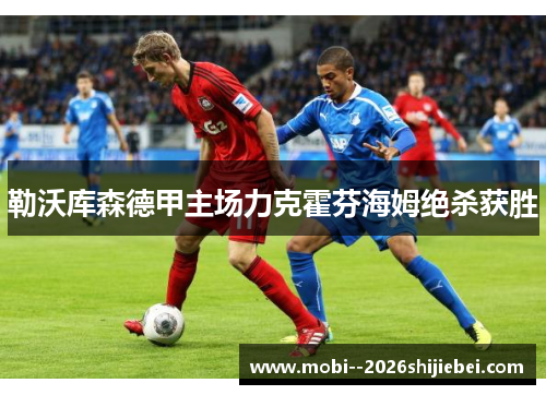 勒沃库森德甲主场力克霍芬海姆绝杀获胜